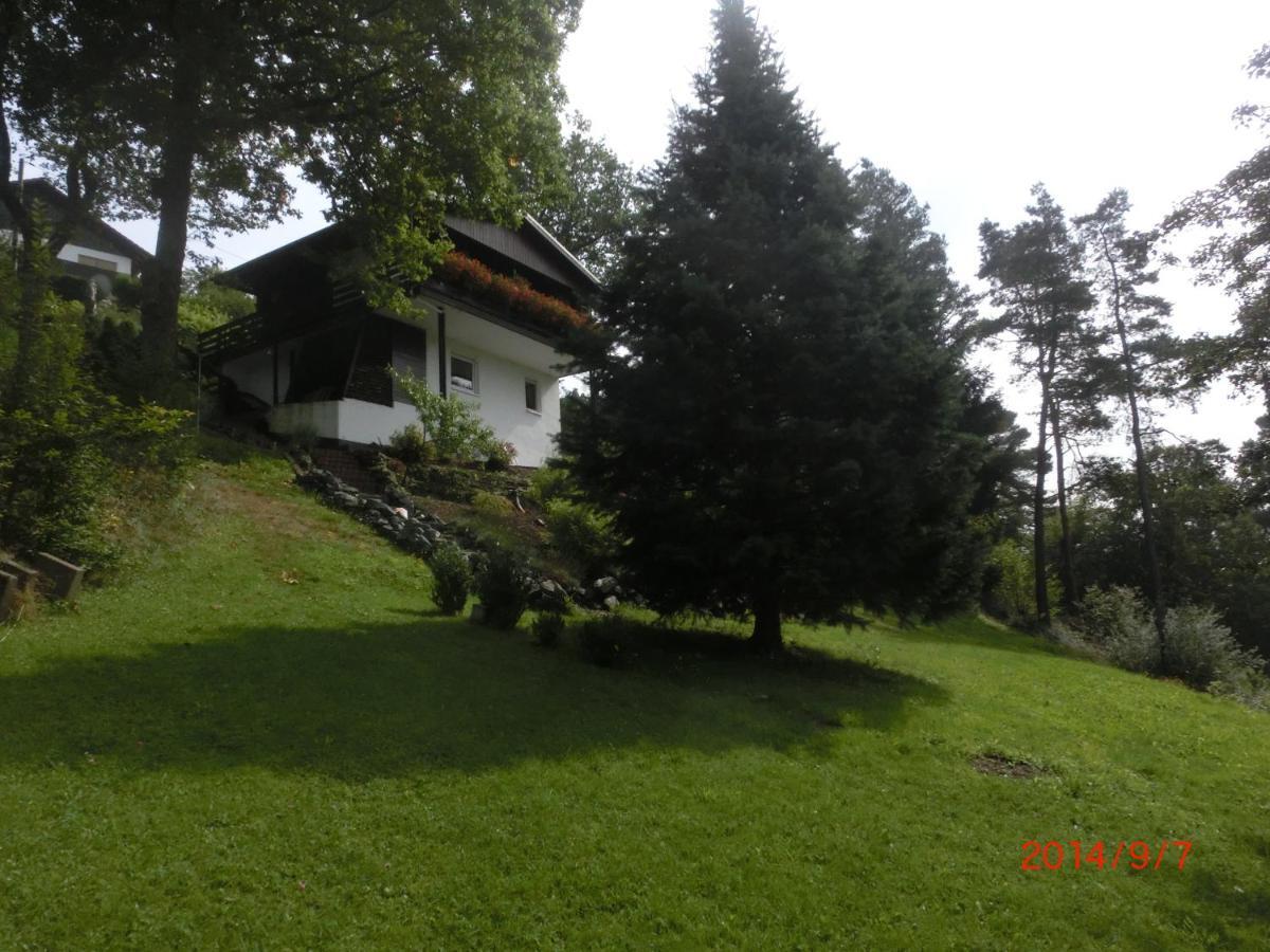 Vila Ferienhaus Im Ederbergland Hatzfeld Exteriér fotografie