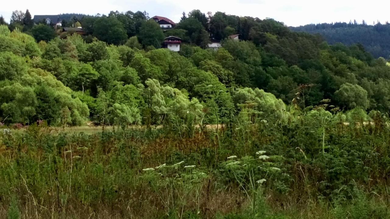 Vila Ferienhaus Im Ederbergland Hatzfeld Exteriér fotografie